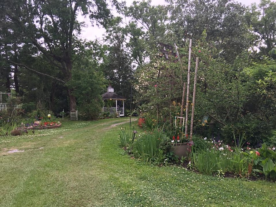 Native Garden Photo